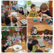 img-20260121-wa0010-collage