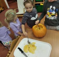 Halloween - Berušky a Žabičky 