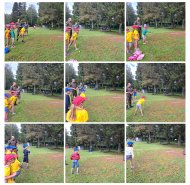 img-20240620-wa0027-collage