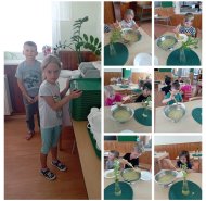 img_20240621_111236-collage