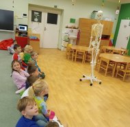 Moje tělo - Berušky