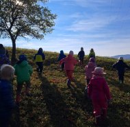Poje a les - Berušky a Žabičky 