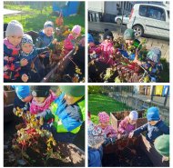 img-20251013-wa0010-collage