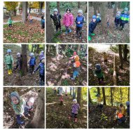 img-20251015-wa0032-collage