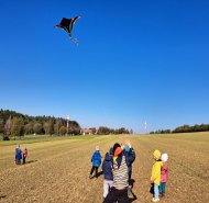 Pole a les - Žabičky