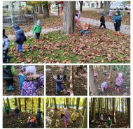 Pole a les - Žabičky