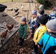 Projekt slepička - Žabičky a Berušky 