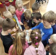 Vánoční tradice a zvyky - Berušky 