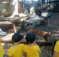 img-20260608-wa0038