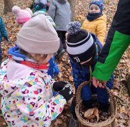 Zvířátka chystejte si doupátka - Žabičky