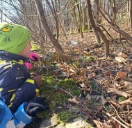 Zvířátka ve volné přírodě - Berušky