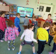 Zvířátka ve volné přírodě - Berušky 