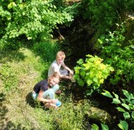 img-20250612-wa0055