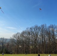 img-20251115-wa0011