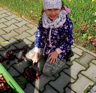 img-20241010-wa0002