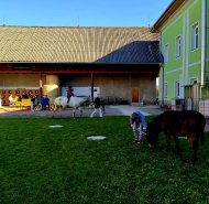 img-20260409-wa0015