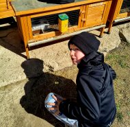 img-20260409-wa0091