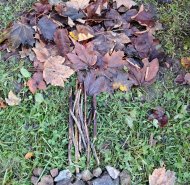 img-20251111-wa0028