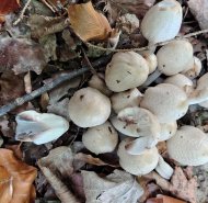 img-20251024-wa0015