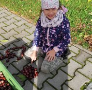 img-20241010-wa0002