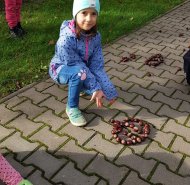 img-20241010-wa0003