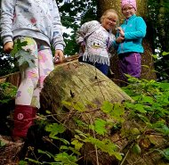 img-20240930-wa0007