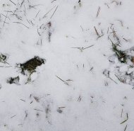 img-20250216-wa0025