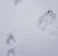 img-20250216-wa0040