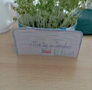 img-20260327-wa0002
