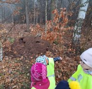 Zvířátka ve volné přírodě a výroba krmítka - Berušky a Žabičky
